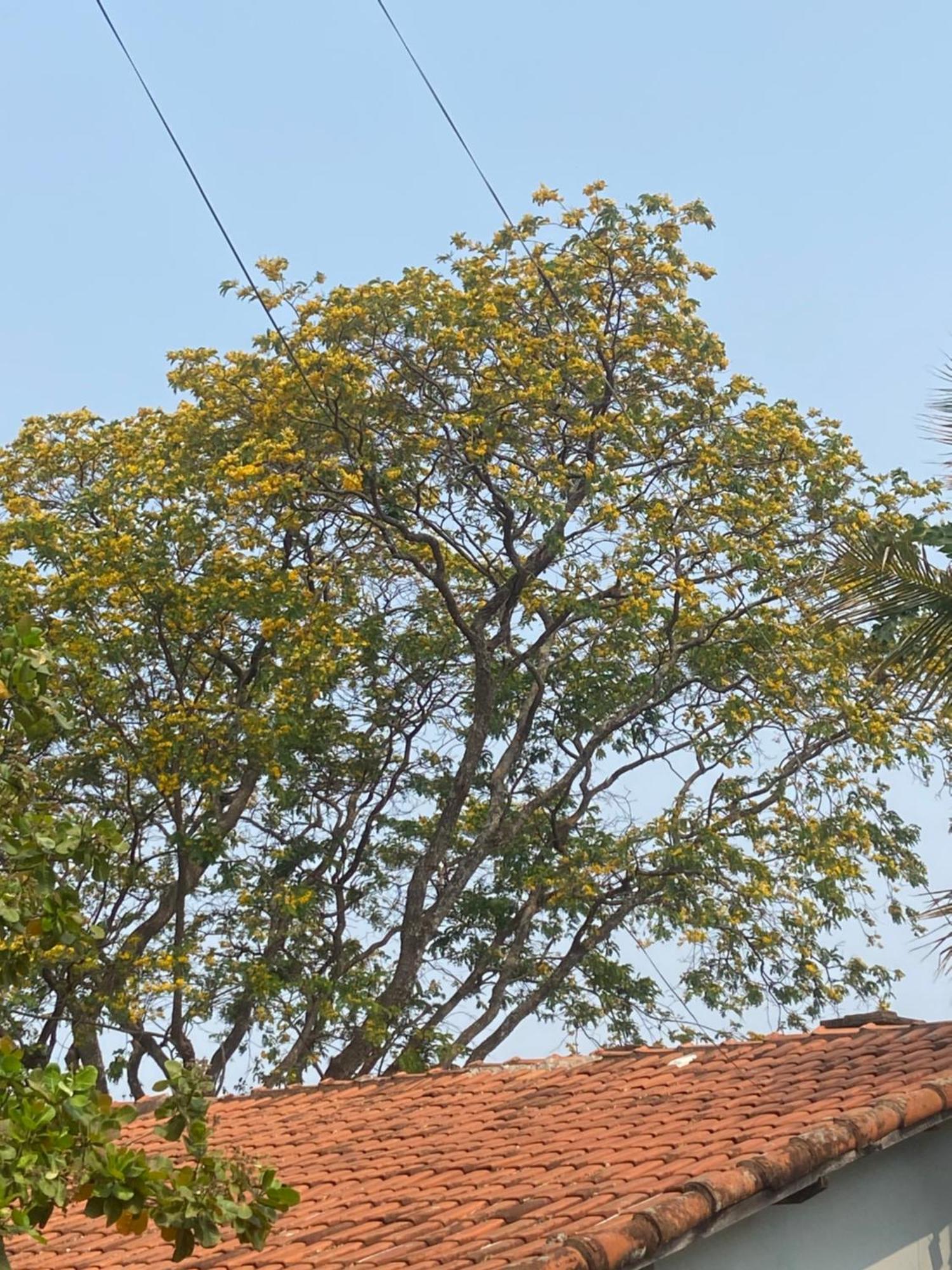 Quarto Privativo Chacara Pe Na Roca โบรตัส ภายนอก รูปภาพ